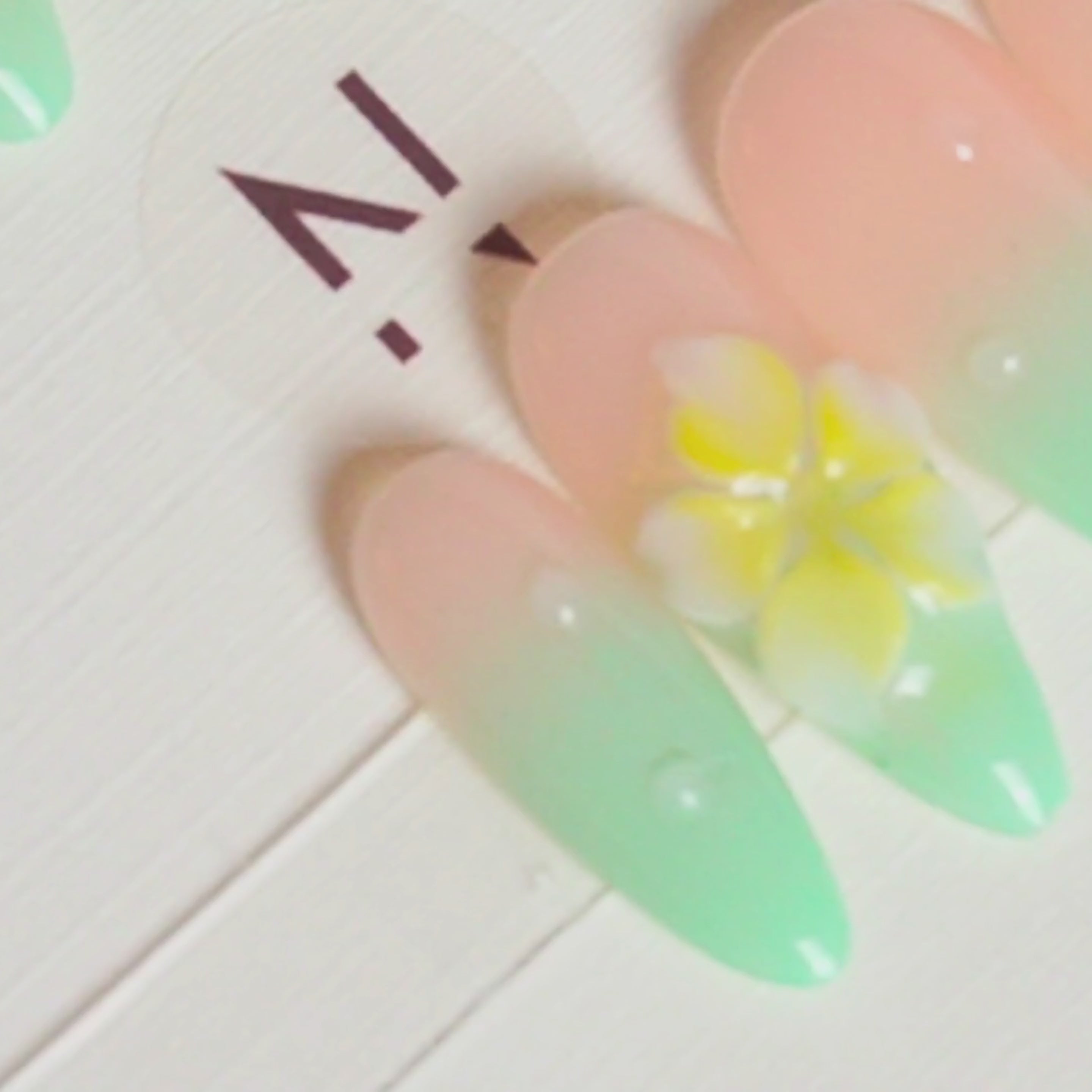 Hawaii Bloom